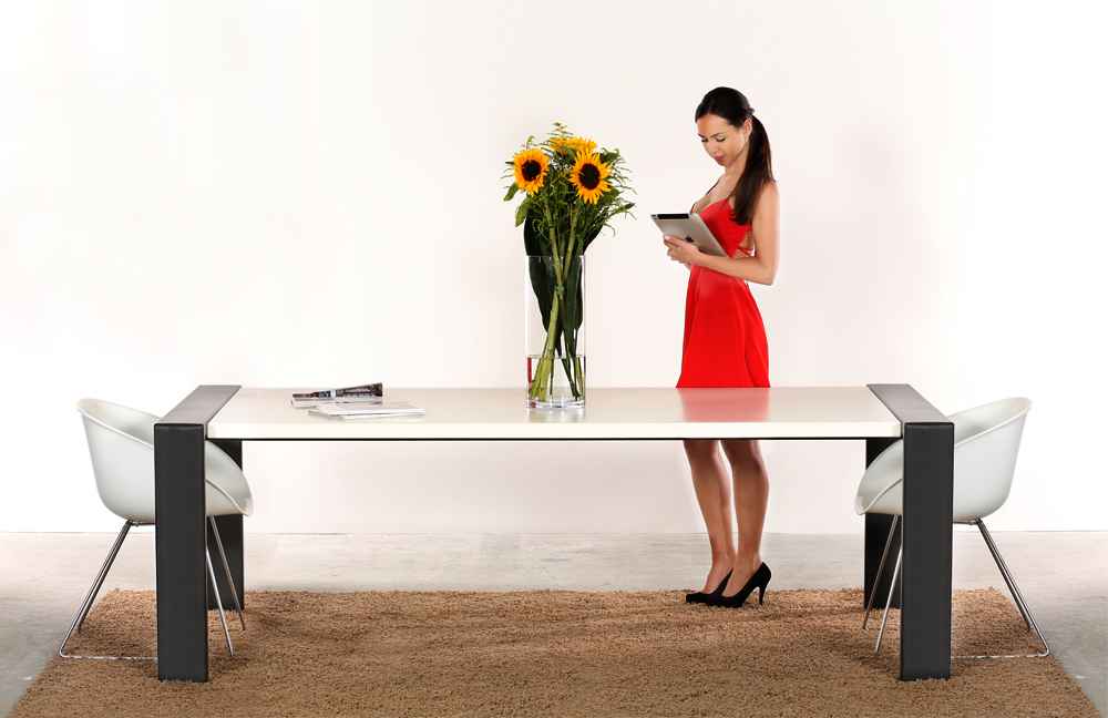 wissmann art610 Esstisch groß Design Industrial Loft Modern